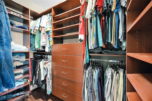 spacious closet featuring wood-type flooring