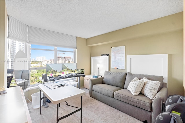 living room with a textured ceiling and carpet