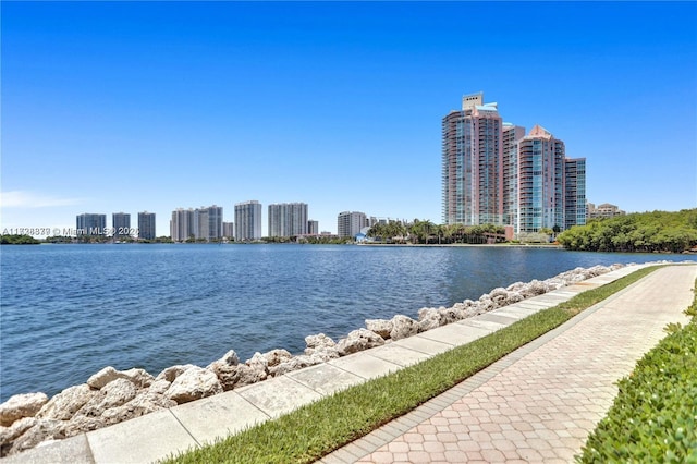 water view featuring a view of city