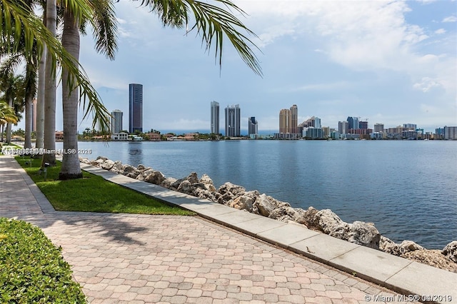 water view with a view of city