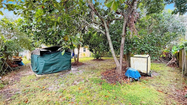 view of yard featuring a storage shed