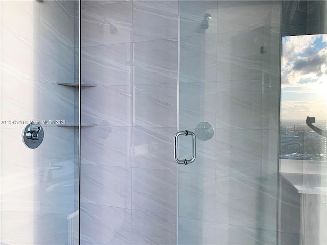 bathroom with a shower with shower door