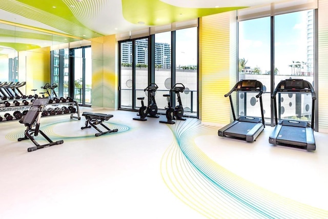 gym with expansive windows and a healthy amount of sunlight