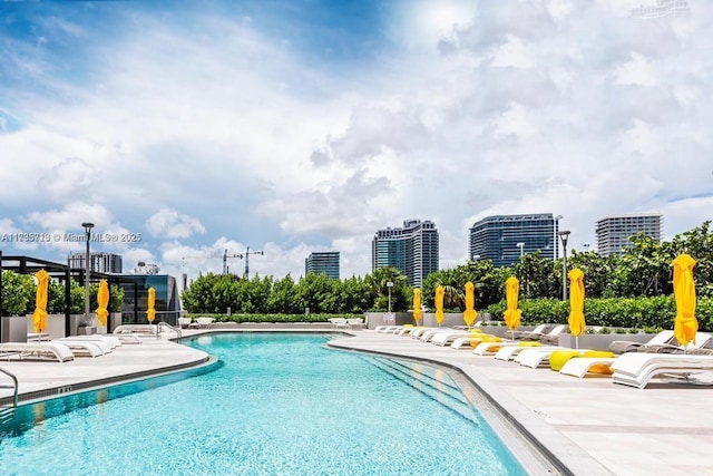 view of pool featuring a patio area