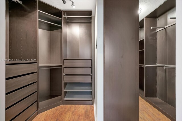 13230 N 153rd Rd N, Jupiter, FL 33478 - walk in closet with wood finished floors