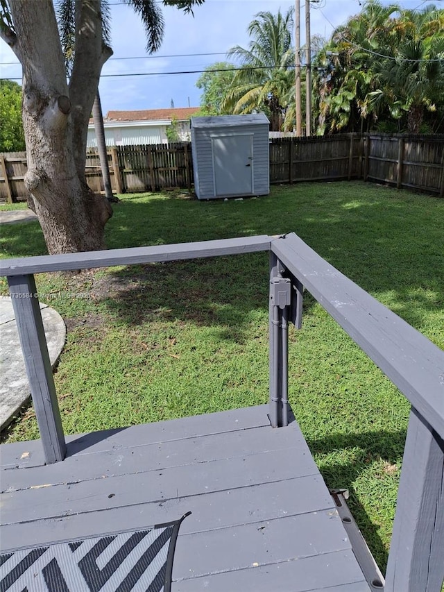 view of yard with a storage unit