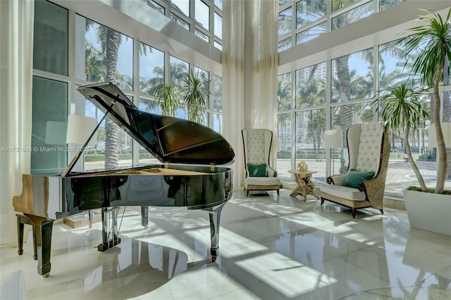 misc room with a towering ceiling and a wealth of natural light