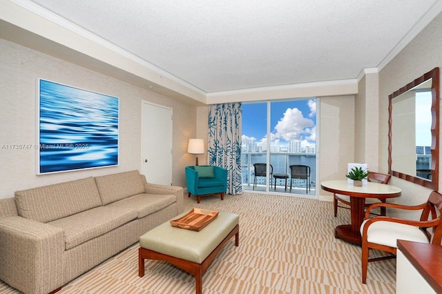 living room featuring ornamental molding, carpet floors, and a textured ceiling