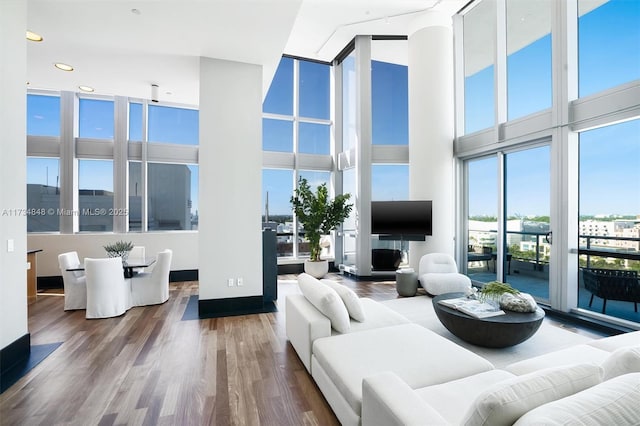 living room featuring hardwood / wood-style flooring and a towering ceiling