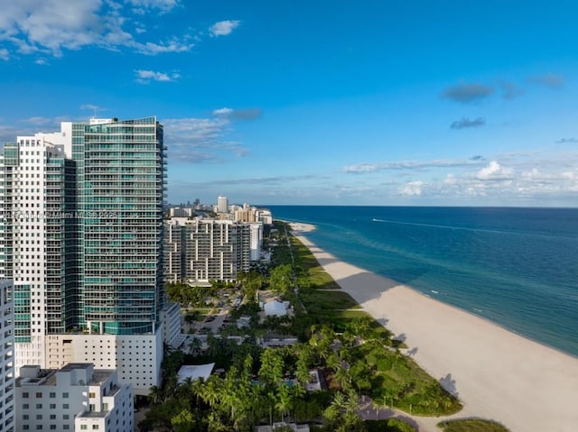 property view of water with a view of the beach