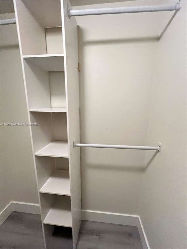 spacious closet with hardwood / wood-style flooring