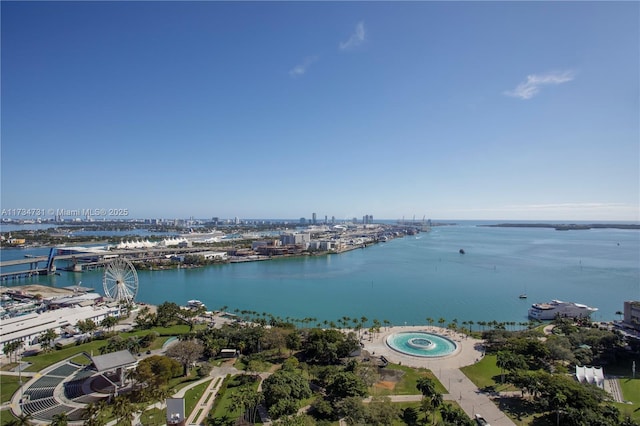 aerial view with a water view