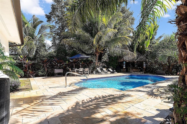 view of pool with a patio