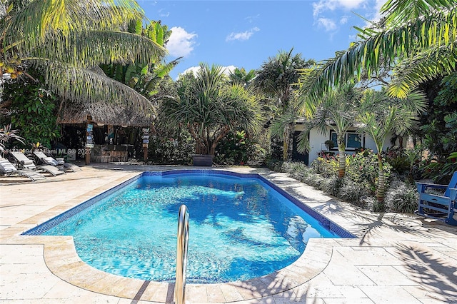 view of pool featuring a patio area