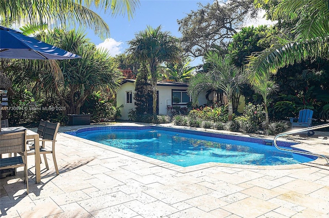 view of pool featuring a patio area