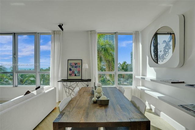 dining room with a healthy amount of sunlight