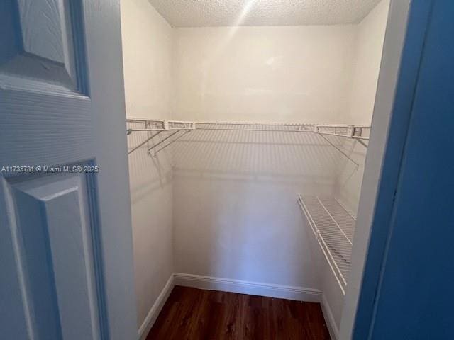 walk in closet with dark hardwood / wood-style floors