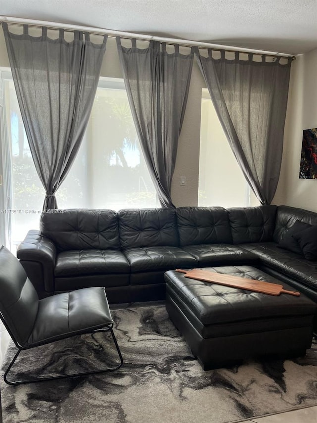 living room with a textured ceiling