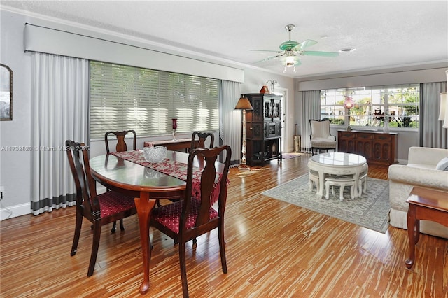 dining space featuring crown molding, ceiling fan, a textured ceiling, wood finished floors, and baseboards