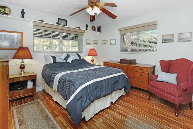 bedroom with multiple windows, hardwood / wood-style floors, and a textured ceiling