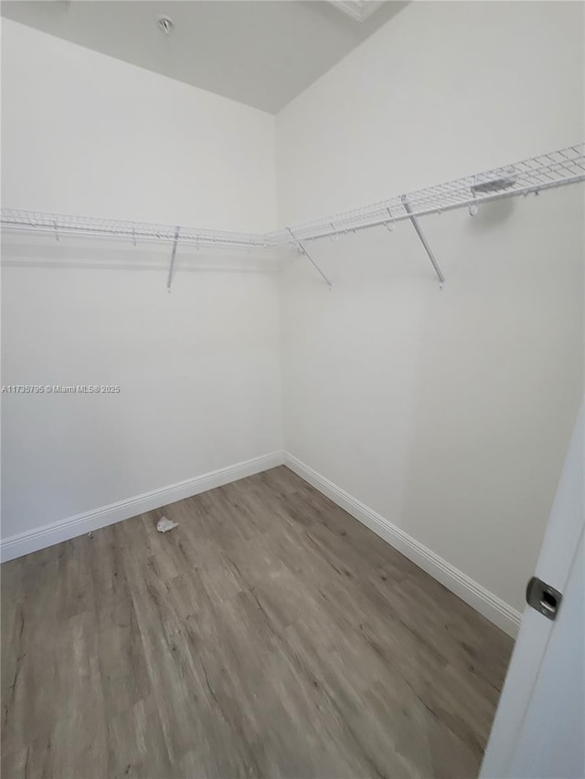 walk in closet featuring wood finished floors