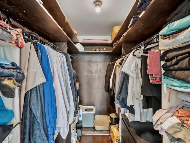 spacious closet with dark hardwood / wood-style floors