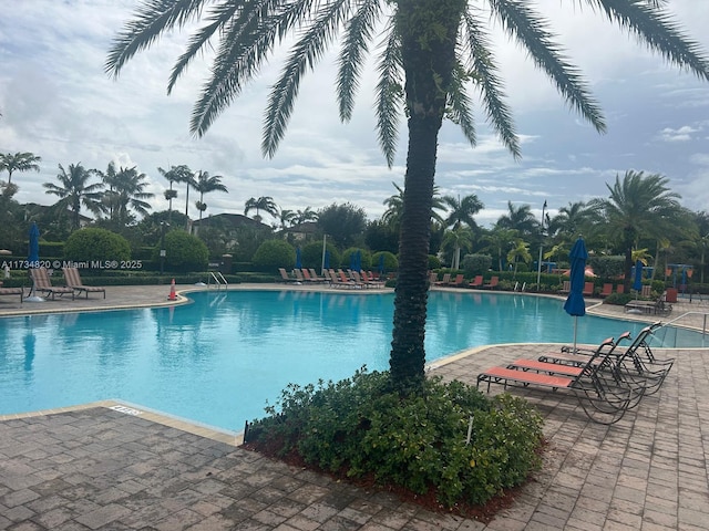 view of pool featuring a patio