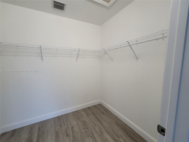 spacious closet with visible vents and wood finished floors