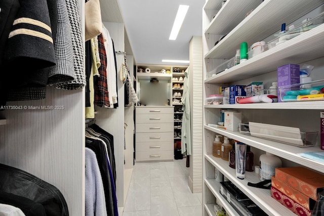 view of spacious closet