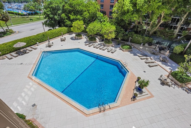 view of pool with a patio