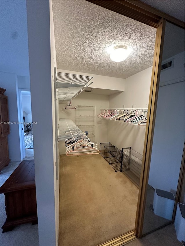 walk in closet with carpet floors