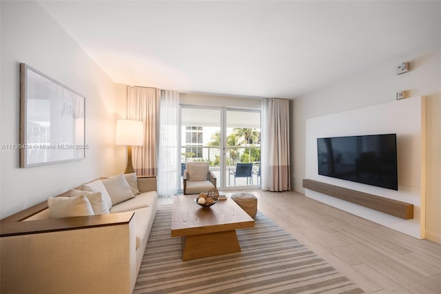 living room featuring light hardwood / wood-style floors