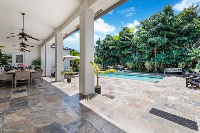 view of swimming pool featuring a patio and ceiling fan