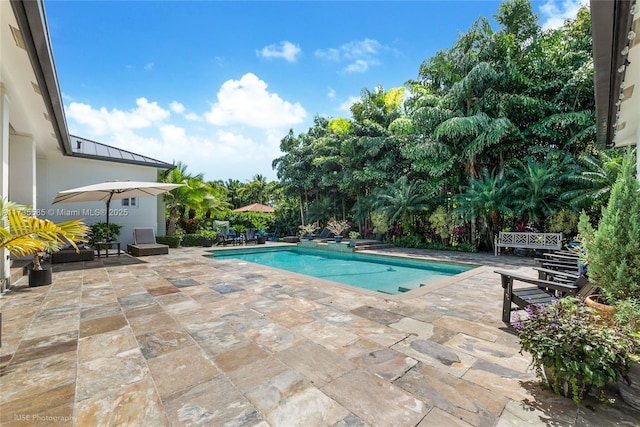 view of pool featuring a patio area