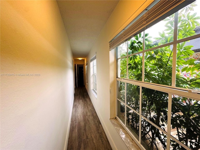 hall featuring dark hardwood / wood-style flooring