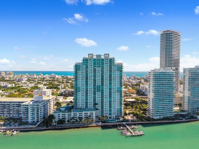 aerial view with a water view