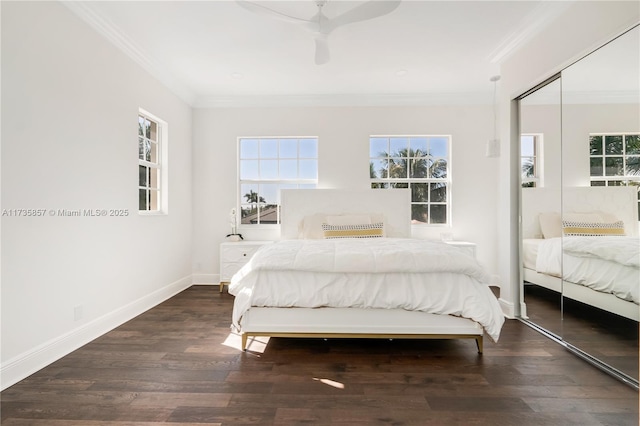 bedroom with crown molding, ceiling fan, dark hardwood / wood-style flooring, and a closet