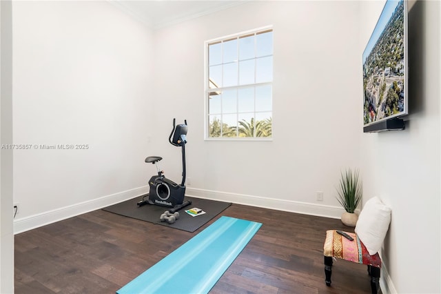 exercise area with crown molding and dark wood-type flooring