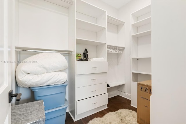 spacious closet with dark hardwood / wood-style floors