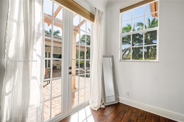 doorway with dark wood-type flooring, a healthy amount of sunlight, and french doors