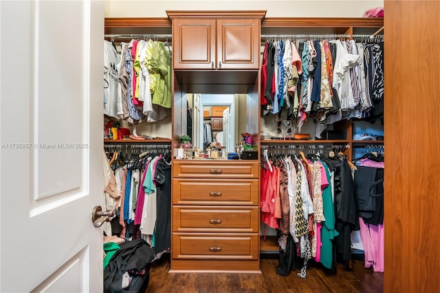 spacious closet featuring dark hardwood / wood-style flooring