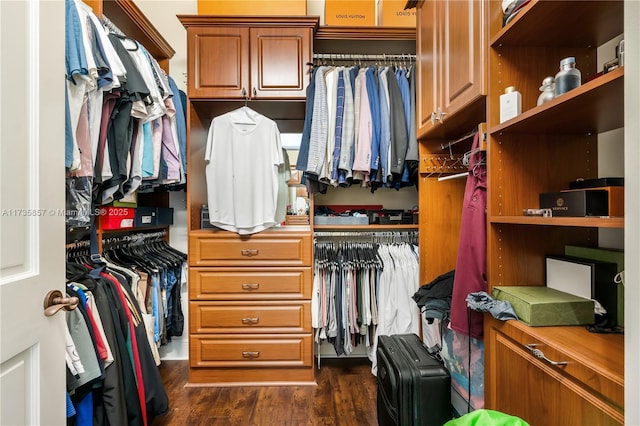 spacious closet featuring dark hardwood / wood-style floors