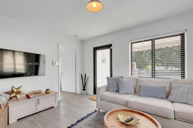 living room with light hardwood / wood-style flooring