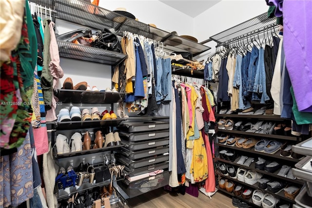 walk in closet with wood-type flooring