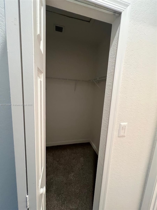 walk in closet with carpet