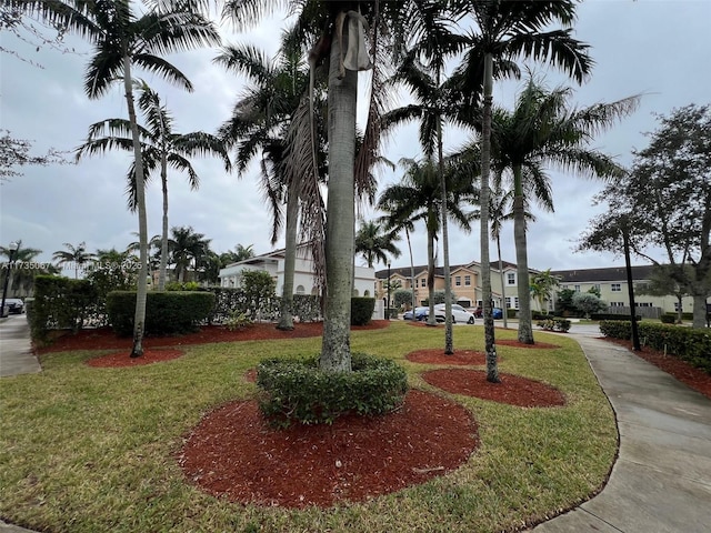 view of property's community with a lawn