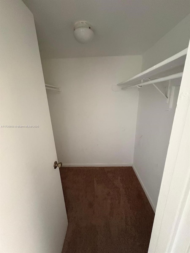 walk in closet featuring dark colored carpet