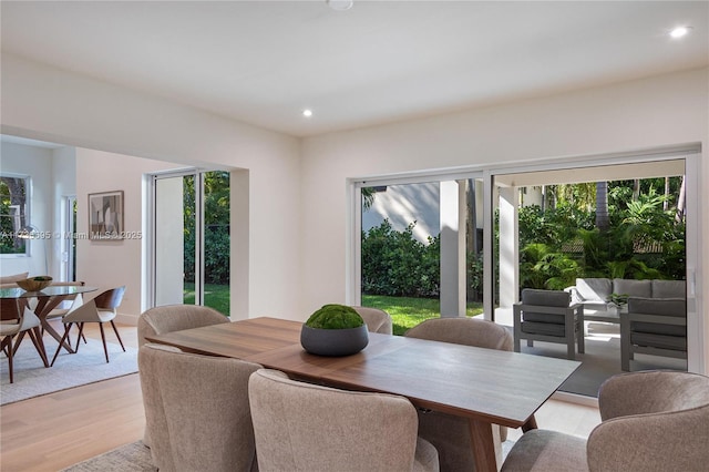 dining space with light hardwood / wood-style floors and a healthy amount of sunlight