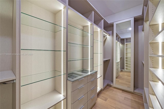 spacious closet featuring light wood-type flooring