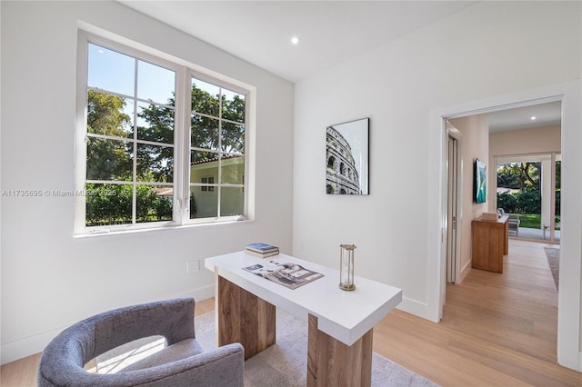 home office featuring light hardwood / wood-style floors